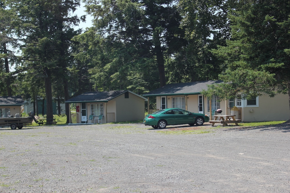 The Evergreen Motel - photo 88