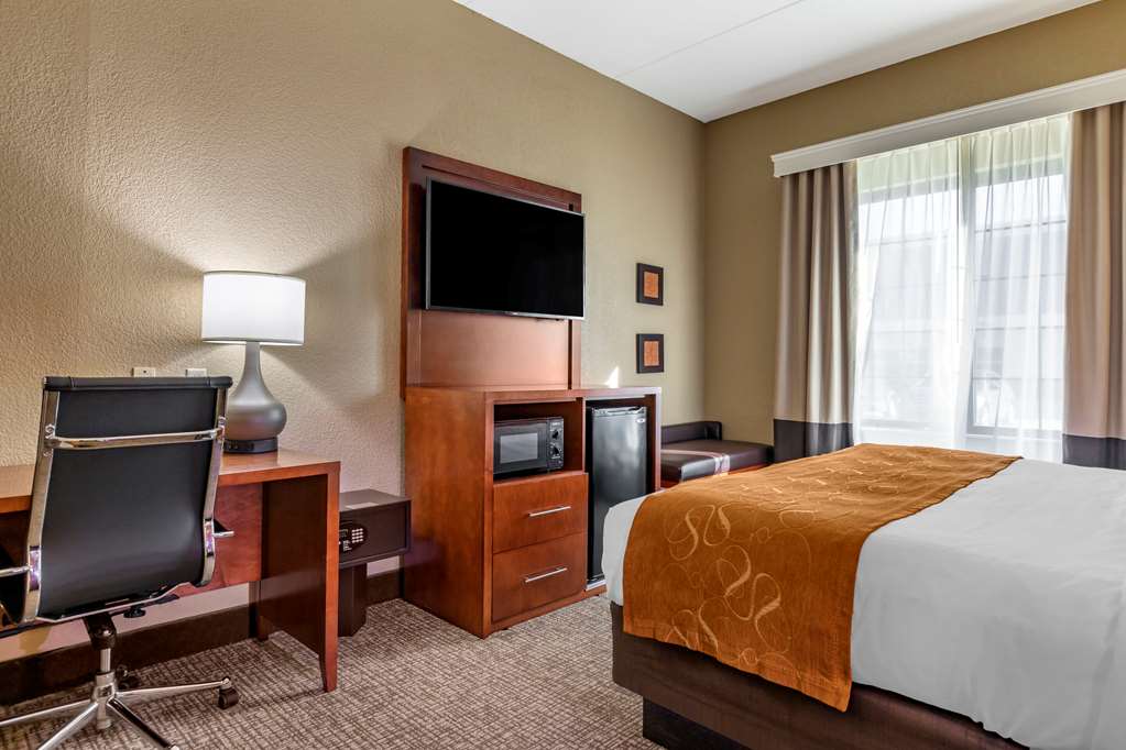 Comfort Suites Grand Rapids South - photo 8
