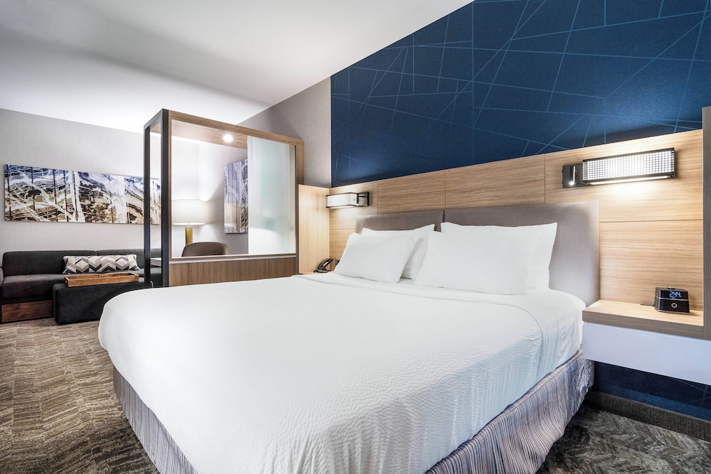 SpringHill Suites by Marriott Charleston Airport & Convention Center - photo 36