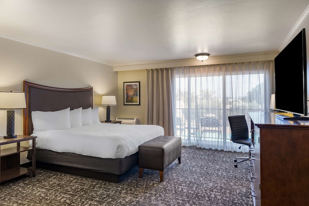 Best Western Plus Royal Oak Hotel - photo 17