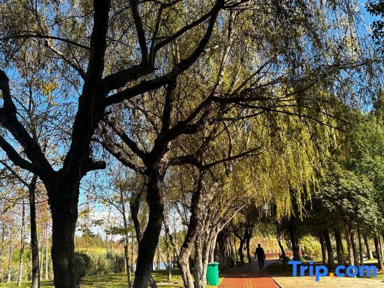 Atour Light Hotel Kunming Huanhu Road Dianchi Convention Center in Kunming, People's Republic of China