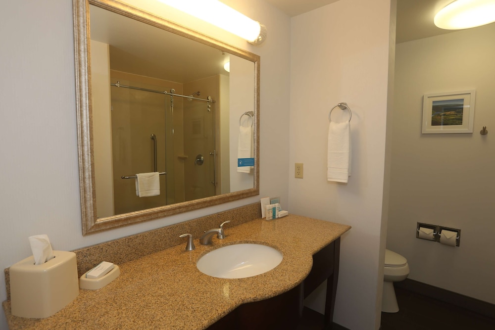 Hampton Inn Owego - photo 21