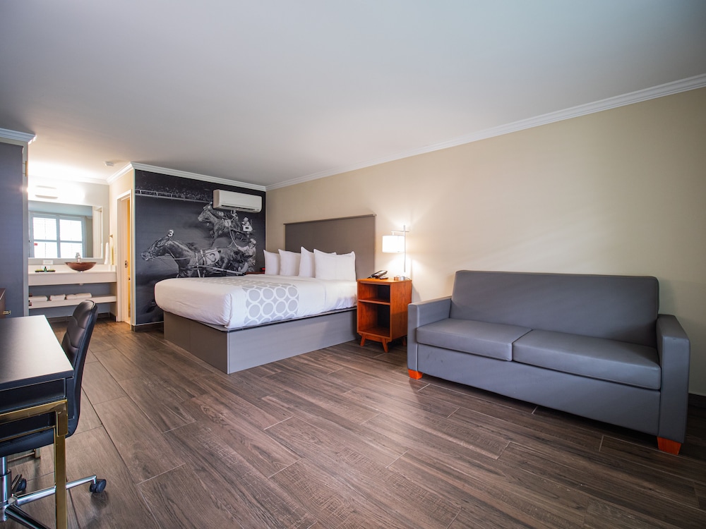 Equus Inn Ocala - photo 15