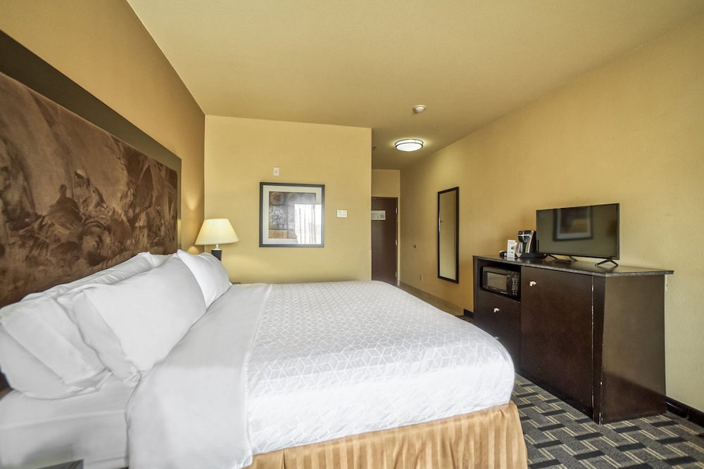 Holiday Inn Express Suites Beeville by IHG - photo 21