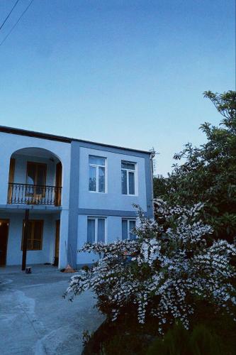 Kisa in Mart'vili, Georgia