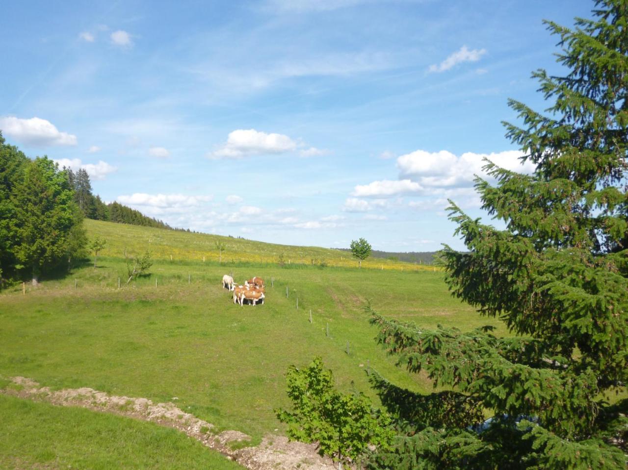 Ferienwohnung Schwarzwald Alpenblick — Lenzkirch — photo 2