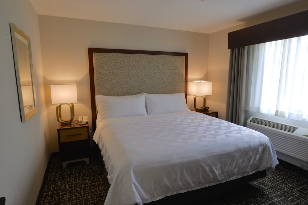 Holiday Inn Hotel & Suites Minneapolis Lakeville by IHG - photo 12