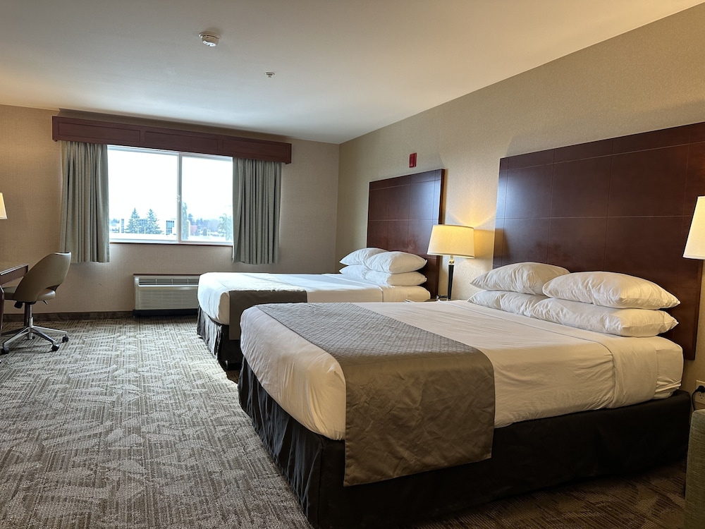 Medallion Inn & Suites - photo 6