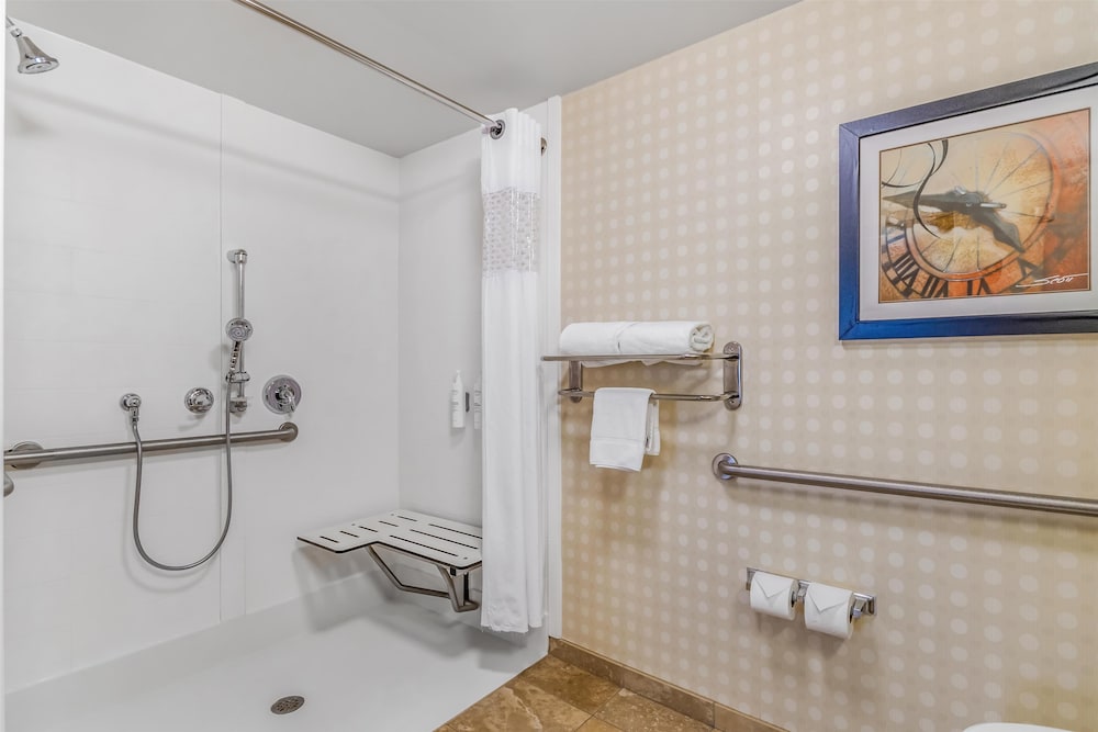 Hampton Inn & Suites Detroit Airport Romulus - photo 27