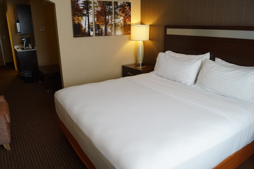 Holiday Inn Express Hotel & Suites Watertown Thousand Island by IHG - photo 8