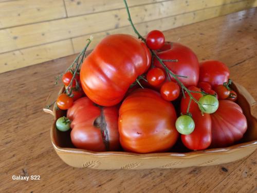 Rooms & Wine Lilek in Sentilj V Slov. Goricah, Slovenia