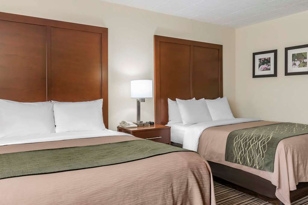 Comfort Inn Pocono Mountains - photo 21