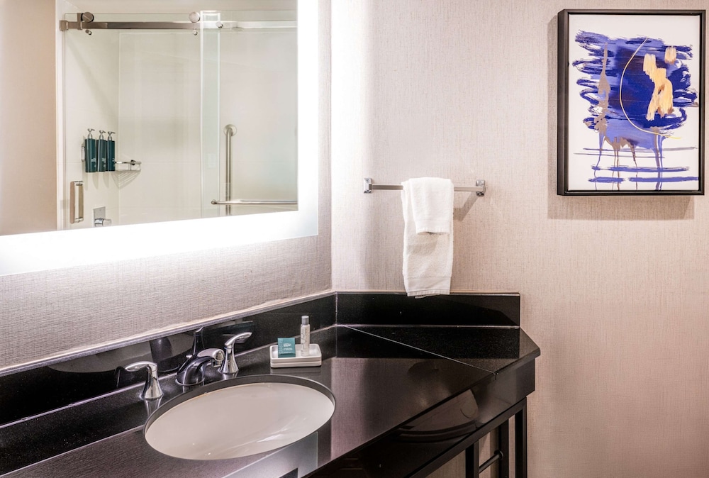 Hilton Richardson Dallas - photo 55