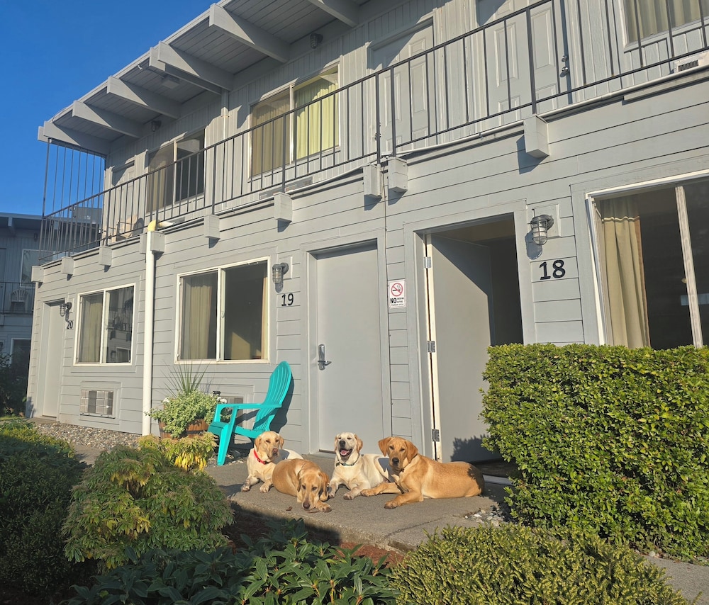 Cocusa Motel - photo 103