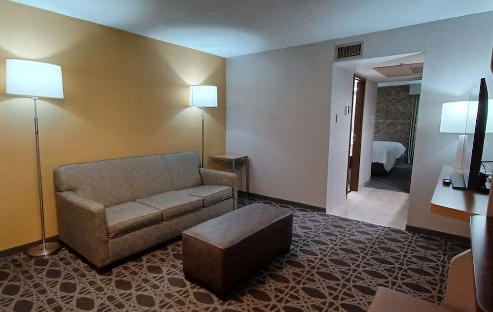 Holiday Inn McAllen Medical Center Area an IHG Hotel - photo 9