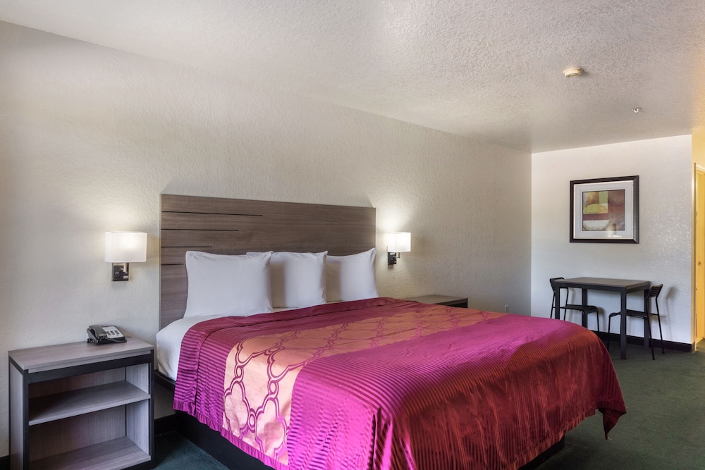OYO Inn & Suites Medical Center San Antonio - photo 8