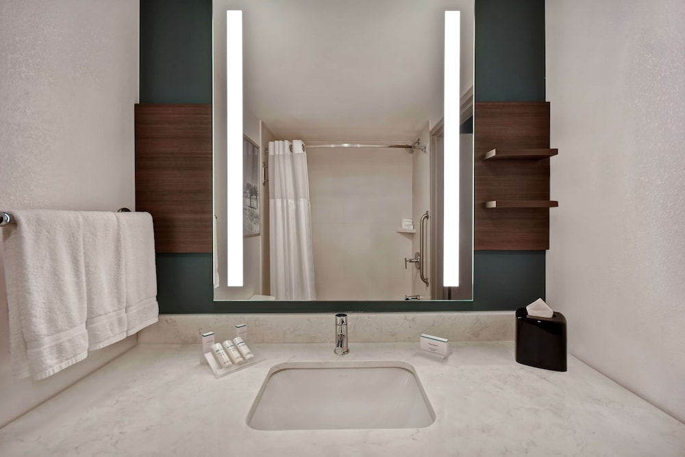 Hilton Garden Inn Houston Galleria Area - photo 22