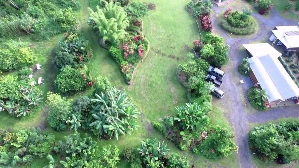 Hawaiian Sanctuary - photo 41