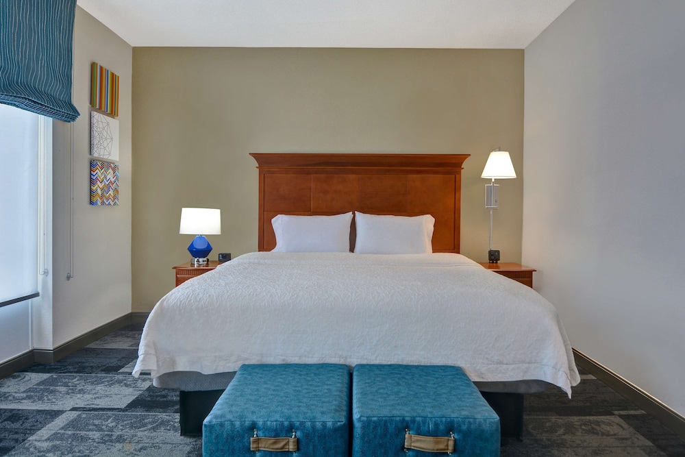 Hampton Suites Birmingham Hoover - photo 22