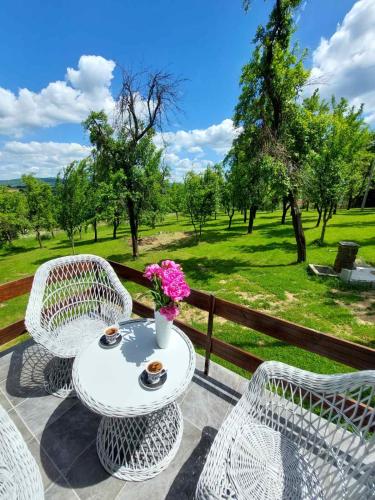 Vikendica Gaj in Gornji Milanovac, Serbia