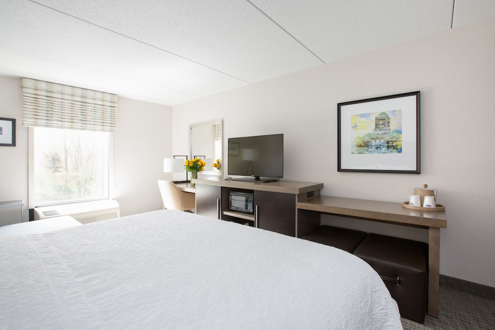 Hampton Inn Raynham Taunton - photo 7