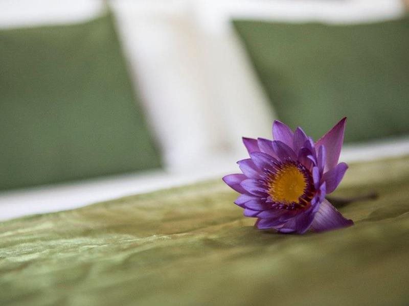 Garden Beach - last minute hotel in Bentota