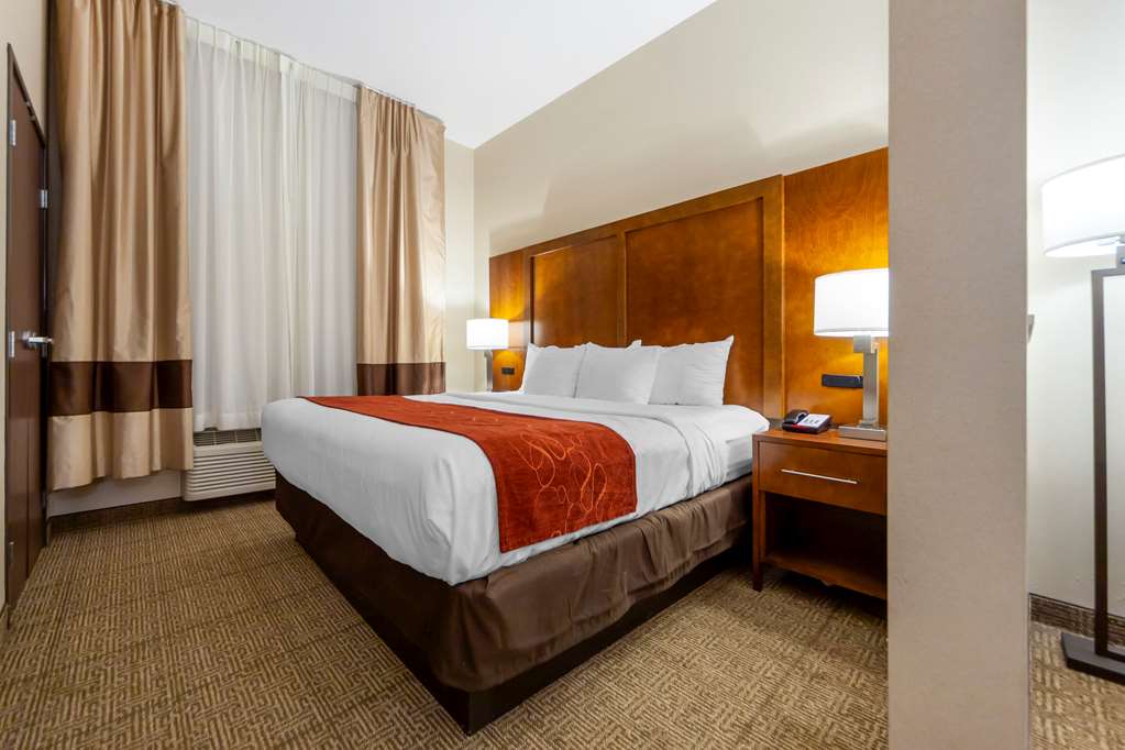 Comfort Suites La Vista Omaha - photo 18