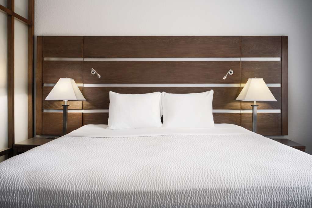 Best Western Plus College Station Inn & Suites - photo 22