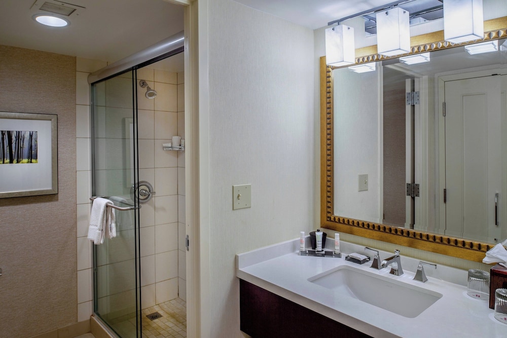 Marriott St. Louis West - photo 46