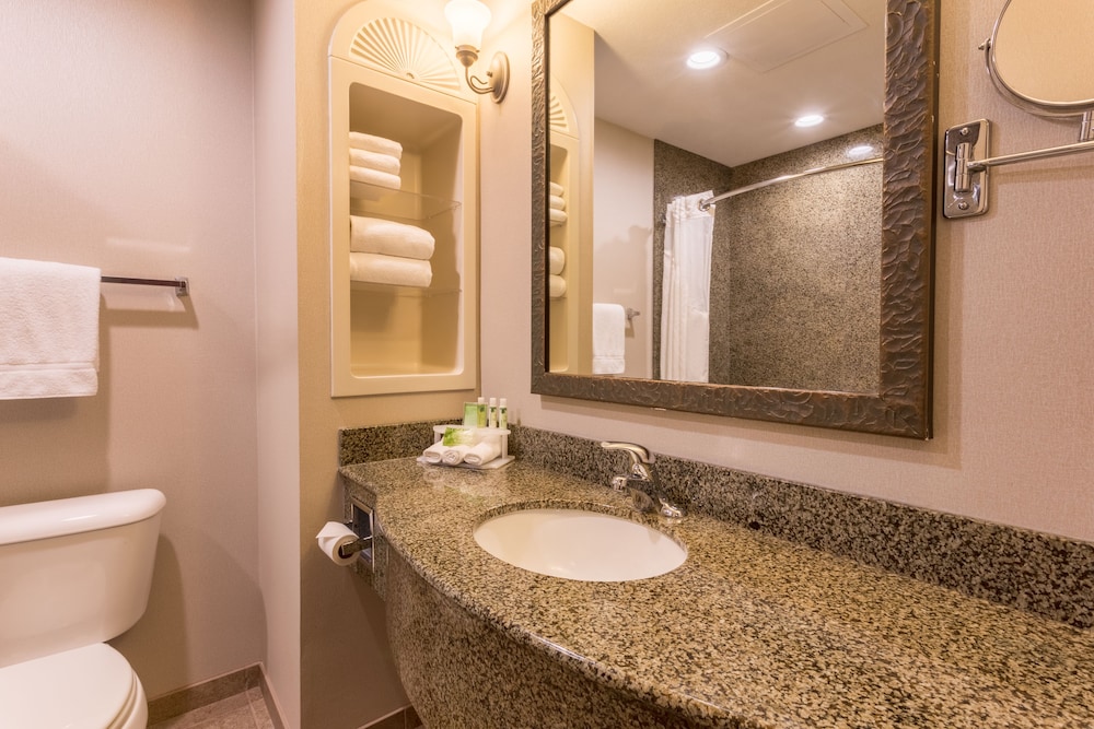 Holiday Inn Express Hotel & Suites Manteca by IHG - photo 25