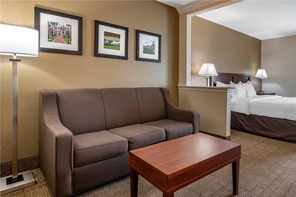 Comfort Inn & Suites DeLand near University - photo 22