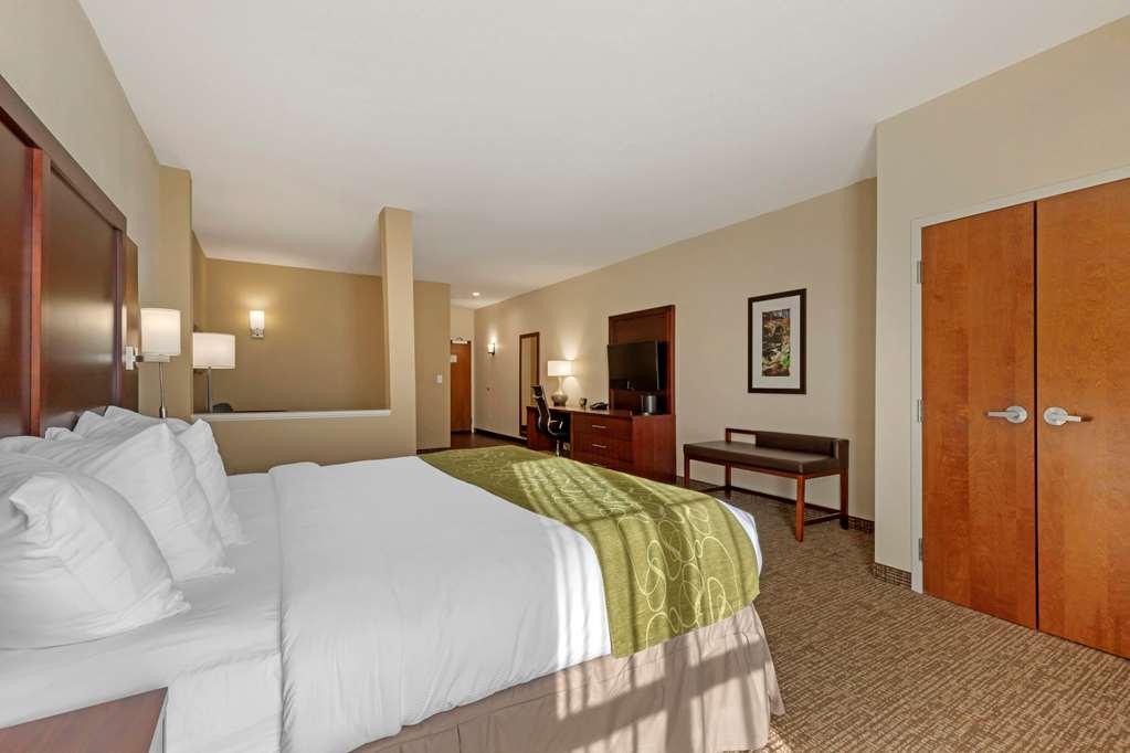 Comfort Suites Piedmont Greenville South - photo 22