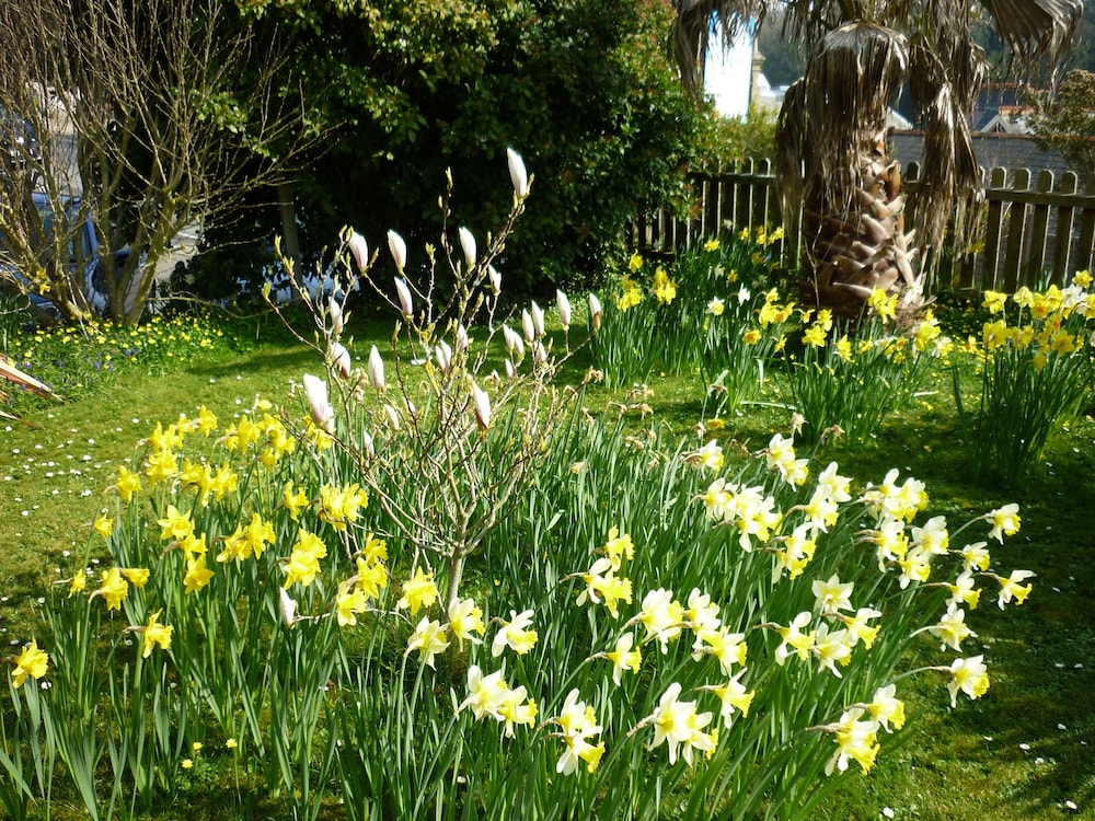 St Maur in Ventnor, United Kingdom