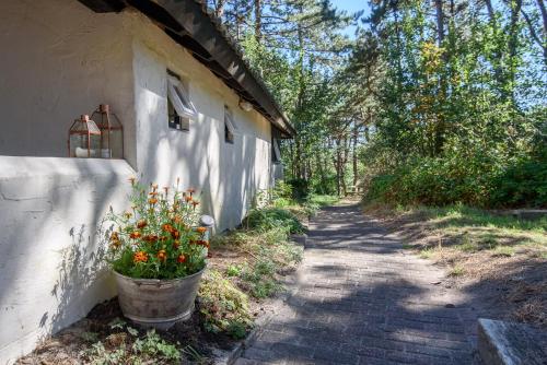 Folkshegeskoalle Schylgeral n in Hoorn, Netherlands