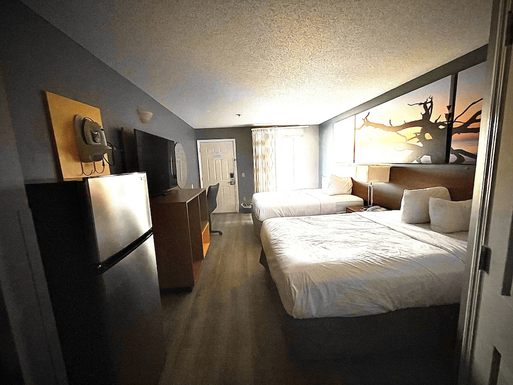 Baymont by Wyndham Dublin - photo 9