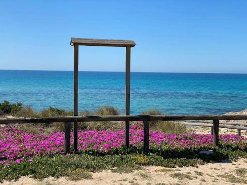Il Sole e l’Azzurro — Unknown City — photo 2