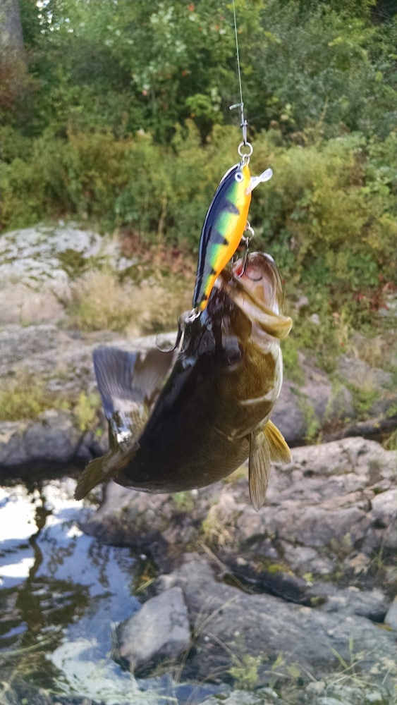 Milford Motel On the River - photo 2