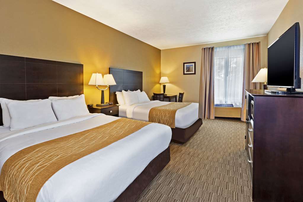 Comfort Inn Whitehall near Michigan's Adventure - photo 17