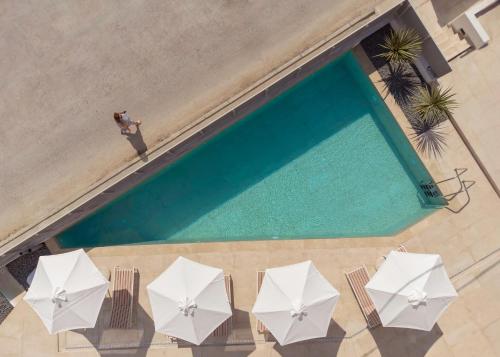 Thines Comfort Living in Nea Peramos, Greece