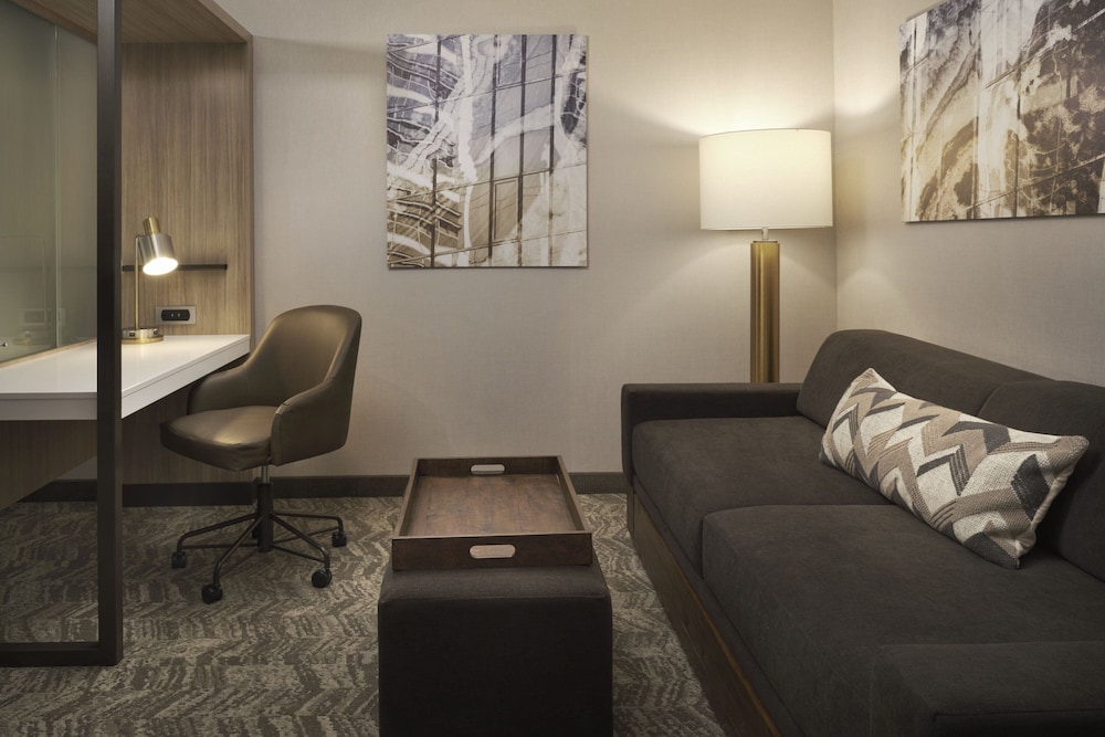 SpringHill Suites by Marriott Las Vegas Airport - photo 10
