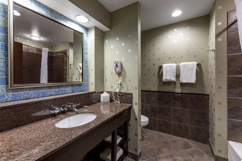 Comfort Suites Perrysburg Toledo South - photo 9