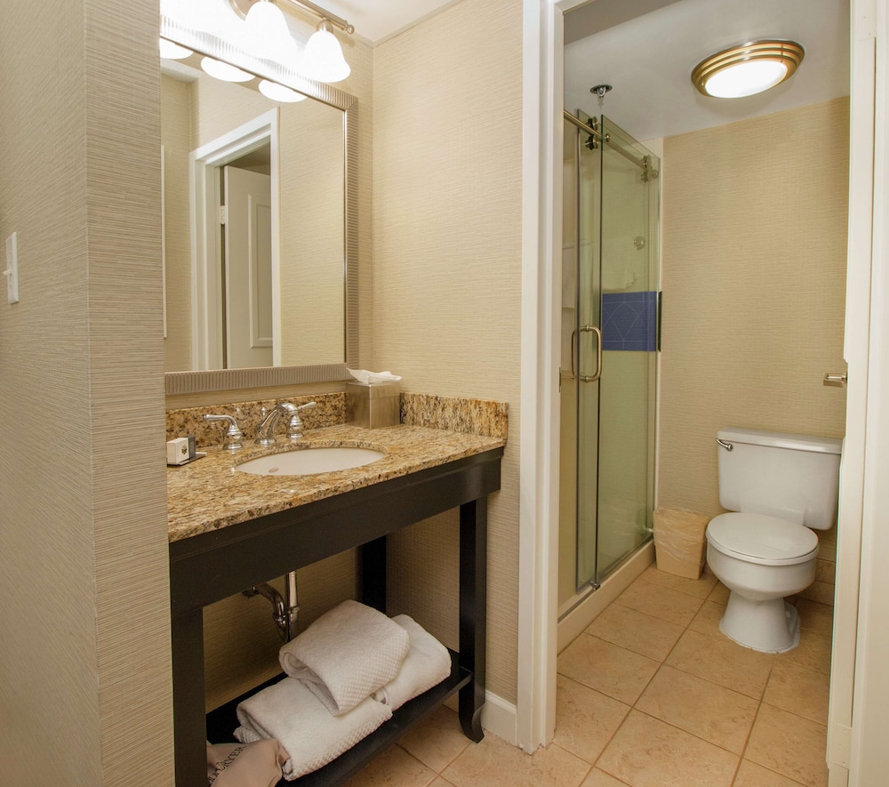 DoubleTree by Hilton Hotel Buffalo Amherst - photo 28
