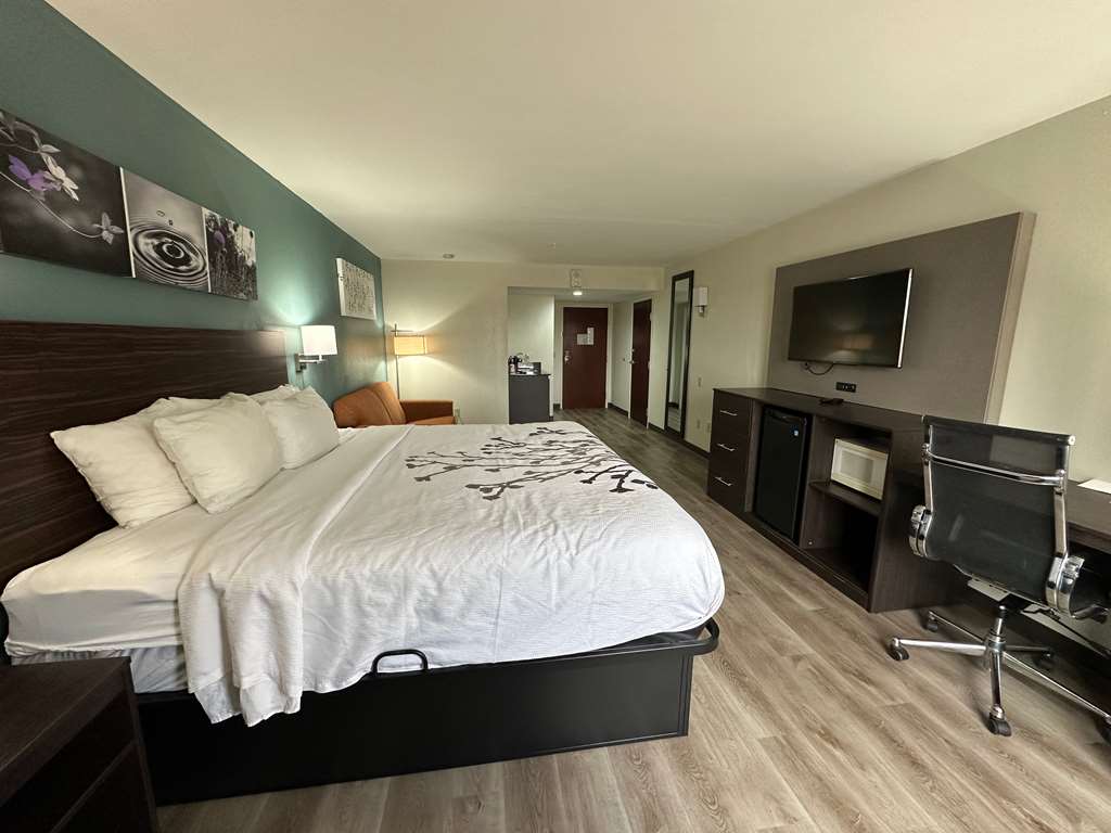 Sleep Inn & Suites Pineville Alexandria - photo 59