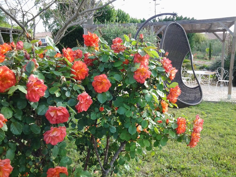 Aux Roses de l’Etang