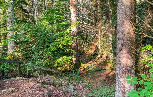 Stuga 4 — Nybro — photo 4
