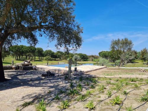 Kochab Alentejo - last minute hotel in Unknown City