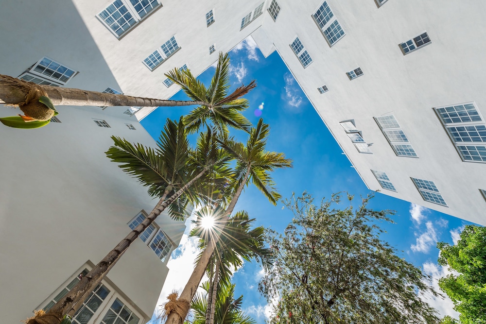 Hotel Belleza - photo 157