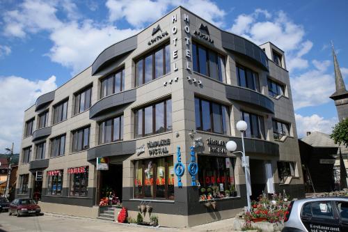 Hotel Montana — hotel in Viseu De Sus