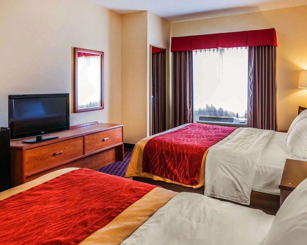 Comfort Inn Avon Indianapolis West - photo 10