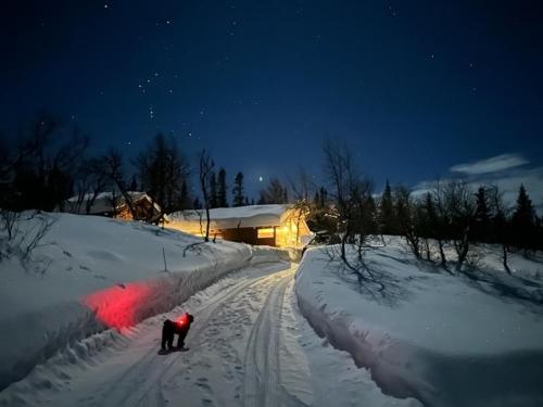 Orrelie By Norgesbooking Cabin With A Lovely View 21262023 — Al